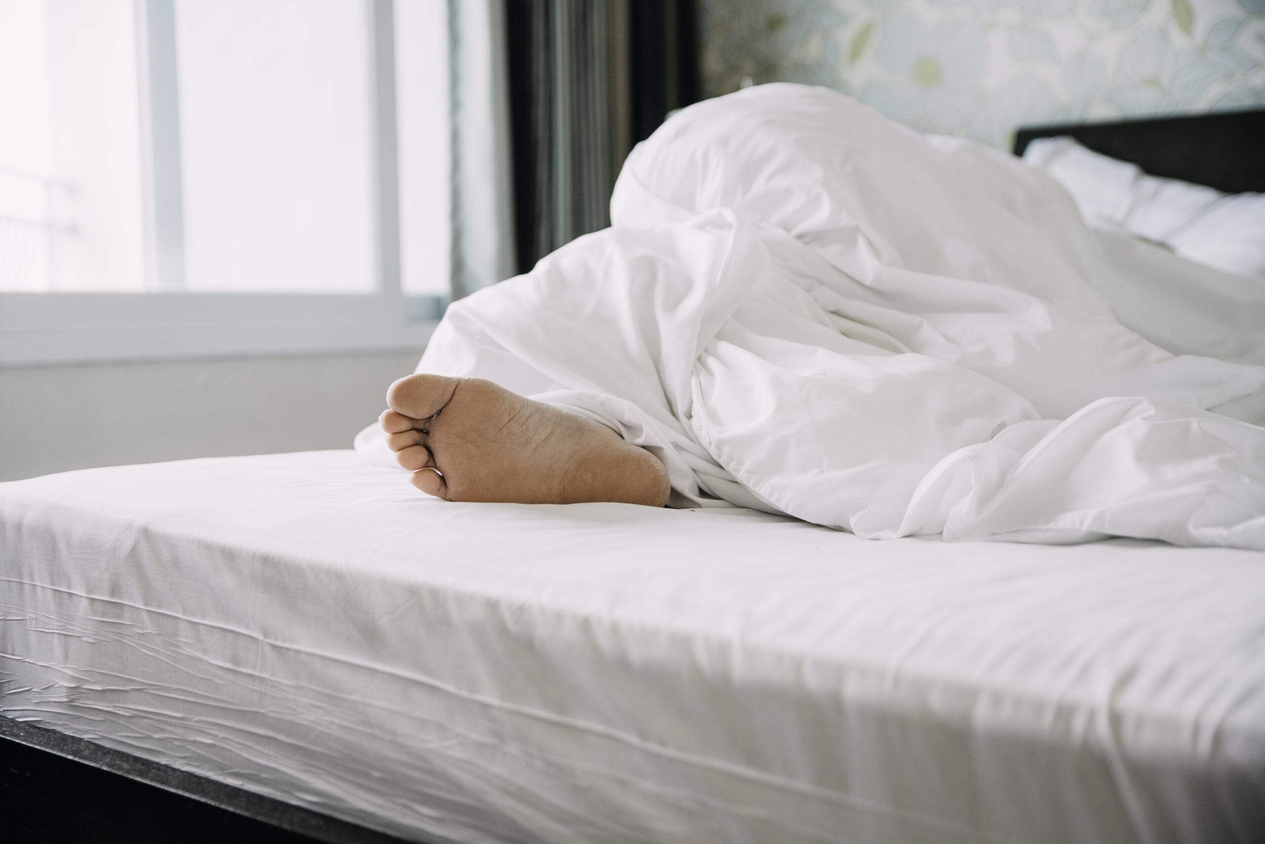 adult sleep consulting