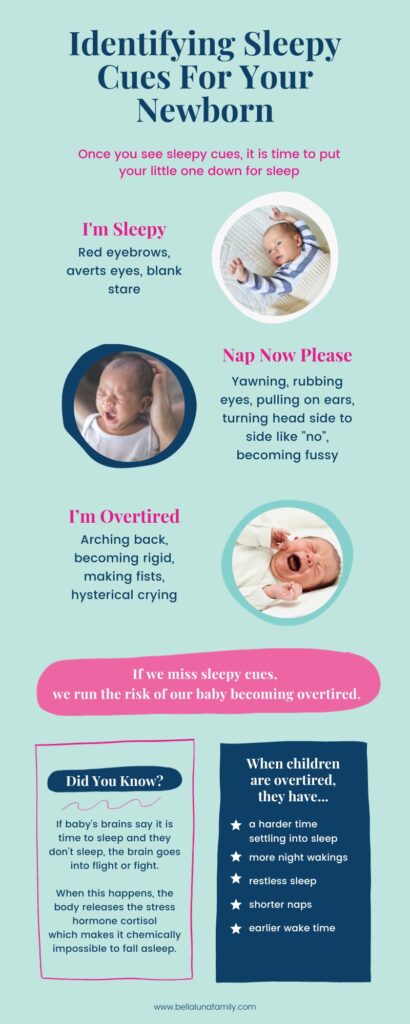 Newborn Sleepy Cues Infographic